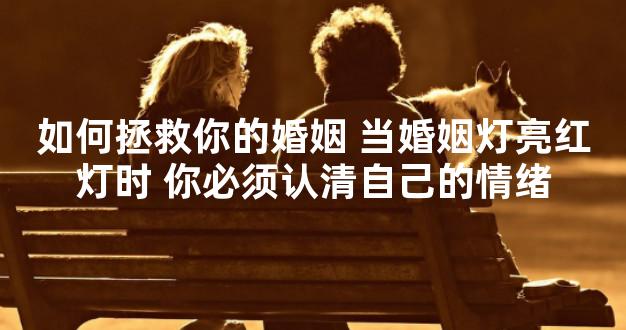 如何拯救你的婚姻 当婚姻灯亮红灯时 你必须认清自己